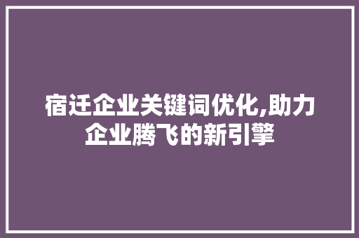 宿迁企业关键词优化,助力企业腾飞的新引擎
