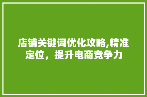 店铺关键词优化攻略,精准定位，提升电商竞争力