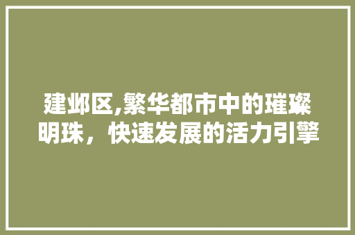 建邺区,繁华都市中的璀璨明珠，快速发展的活力引擎