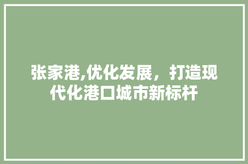 张家港,优化发展，打造现代化港口城市新标杆