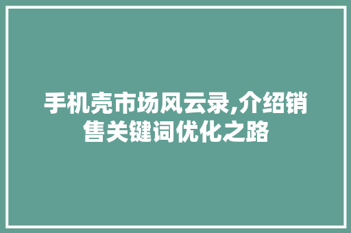 手机壳市场风云录,介绍销售关键词优化之路