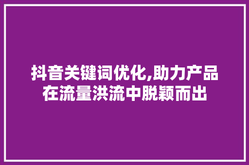抖音关键词优化,助力产品在流量洪流中脱颖而出