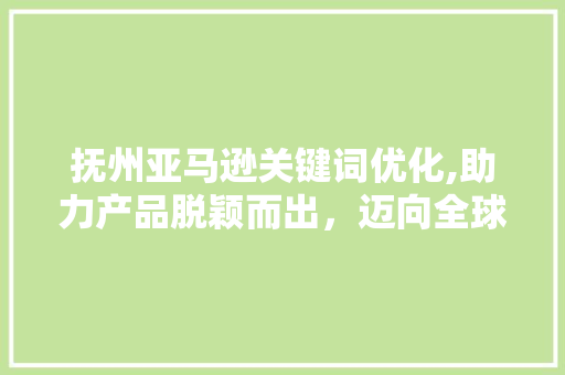 抚州亚马逊关键词优化,助力产品脱颖而出，迈向全球市场