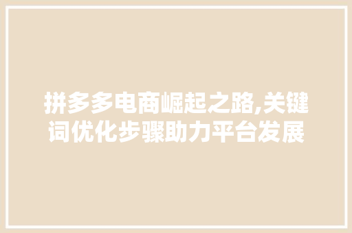 拼多多电商崛起之路,关键词优化步骤助力平台发展