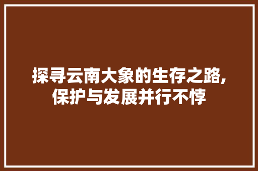 探寻云南大象的生存之路,保护与发展并行不悖