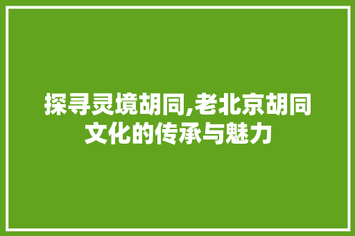 探寻灵境胡同,老北京胡同文化的传承与魅力