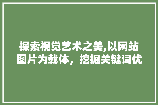 探索视觉艺术之美,以网站图片为载体，挖掘关键词优化之路