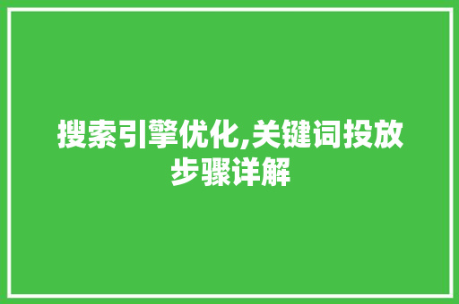 搜索引擎优化,关键词投放步骤详解