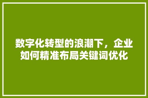 数字化转型的浪潮下，企业如何精准布局关键词优化