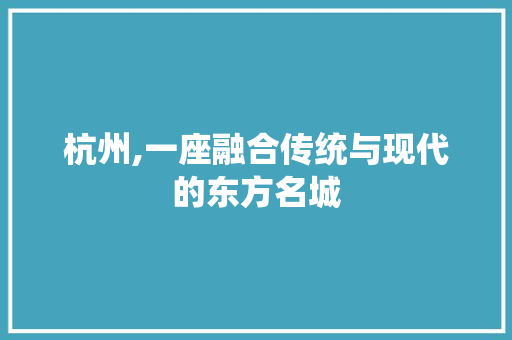 杭州,一座融合传统与现代的东方名城 汽车维修