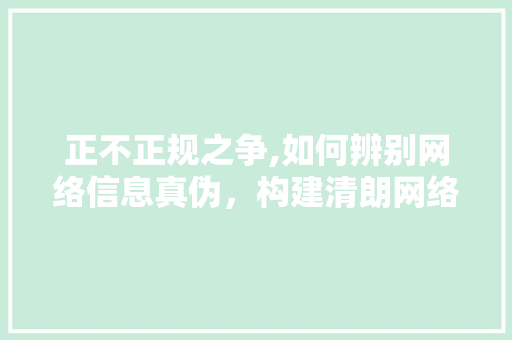 正不正规之争,如何辨别网络信息真伪，构建清朗网络空间