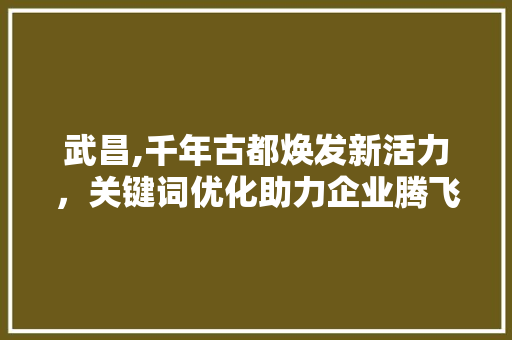 武昌,千年古都焕发新活力，关键词优化助力企业腾飞