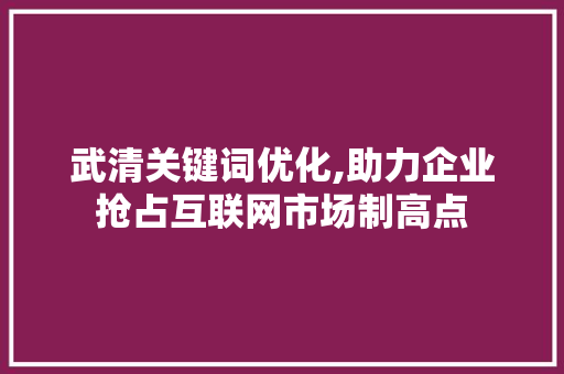 武清关键词优化,助力企业抢占互联网市场制高点 综合便民