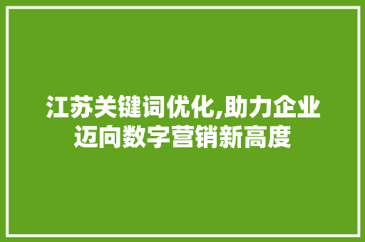 江苏关键词优化,助力企业迈向数字营销新高度