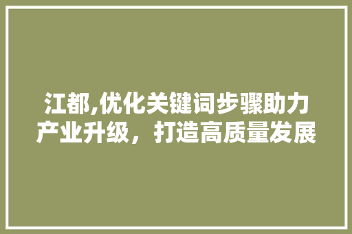 江都,优化关键词步骤助力产业升级，打造高质量发展新引擎
