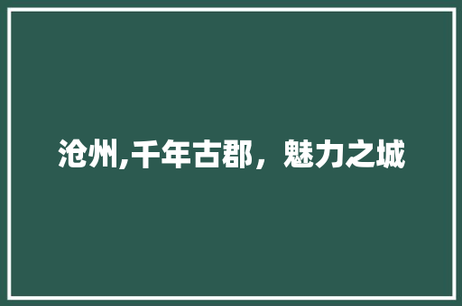 沧州,千年古郡，魅力之城
