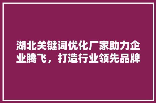 湖北关键词优化厂家助力企业腾飞，打造行业领先品牌