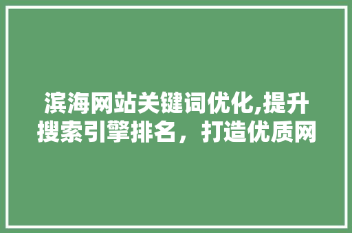 滨海网站关键词优化,提升搜索引擎排名，打造优质网络品牌形象