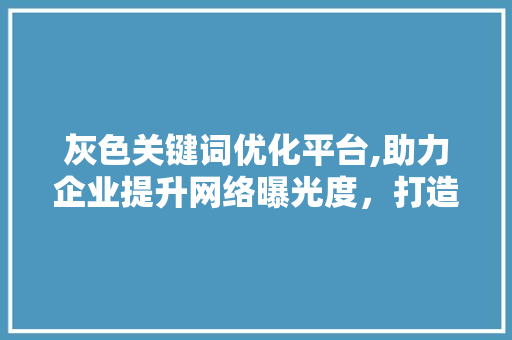 灰色关键词优化平台,助力企业提升网络曝光度，打造高效营销步骤