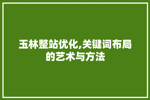 玉林整站优化,关键词布局的艺术与方法