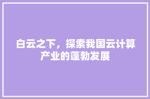 白云之下，探索我国云计算产业的蓬勃发展