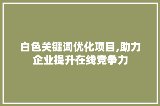 白色关键词优化项目,助力企业提升在线竞争力 墙体维修