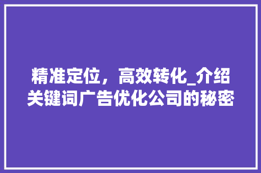 精准定位，高效转化_介绍关键词广告优化公司的秘密武器