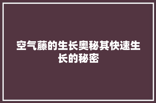 空气藤的生长奥秘其快速生长的秘密 墙体维修