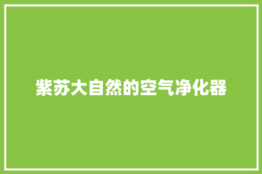 紫苏大自然的空气净化器 厨房维修