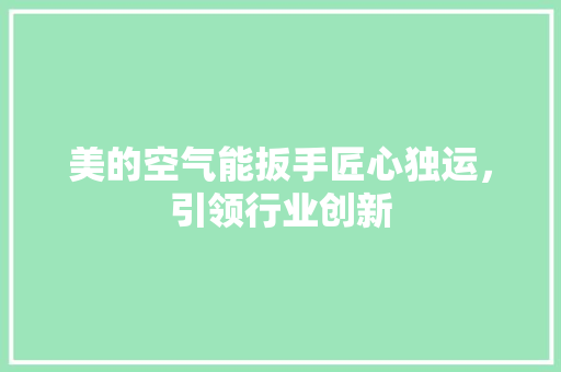 美的空气能扳手匠心独运，引领行业创新 汽车维修