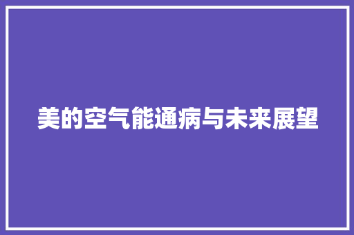美的空气能通病与未来展望