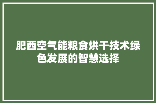 肥西空气能粮食烘干技术绿色发展的智慧选择 家电维修