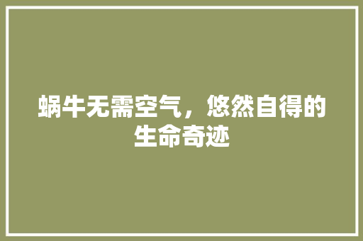 蜗牛无需空气，悠然自得的生命奇迹