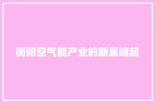 衡阳空气能产业的新星崛起