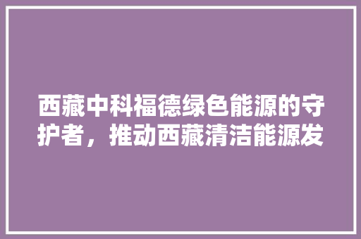 西藏中科福德绿色能源的守护者，推动西藏清洁能源发展