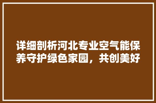 详细剖析河北专业空气能保养守护绿色家园，共创美好未来