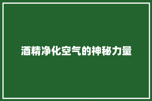 酒精净化空气的神秘力量 综合便民