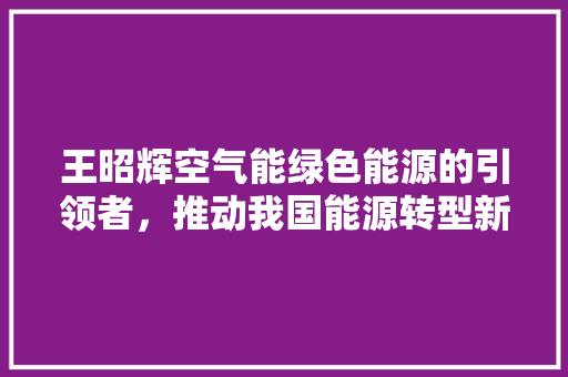 王昭辉空气能绿色能源的引领者，推动我国能源转型新篇章 家电维修