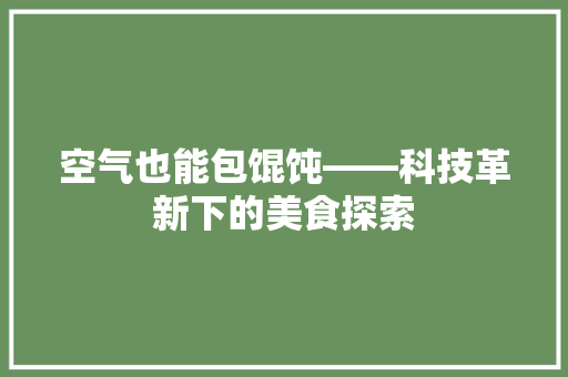 空气也能包馄饨——科技革新下的美食探索 墙体维修