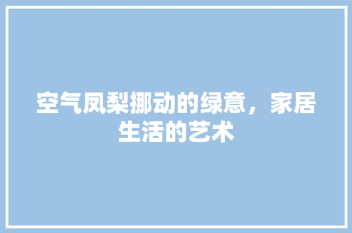 空气凤梨挪动的绿意，家居生活的艺术