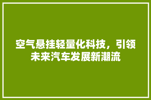 空气悬挂轻量化科技，引领未来汽车发展新潮流