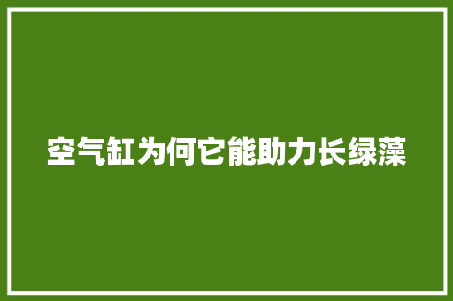 空气缸为何它能助力长绿藻