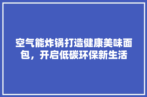 空气能炸锅打造健康美味面包，开启低碳环保新生活