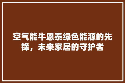 空气能牛恩泰绿色能源的先锋，未来家居的守护者 厨房维修