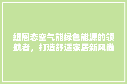纽恩态空气能绿色能源的领航者，打造舒适家居新风尚