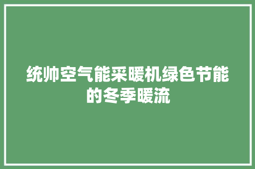 统帅空气能采暖机绿色节能的冬季暖流