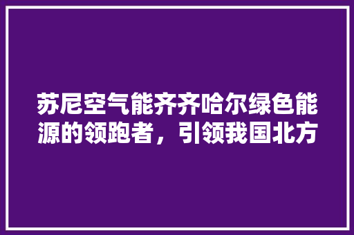 苏尼空气能齐齐哈尔绿色能源的领跑者，引领我国北方采暖新风尚