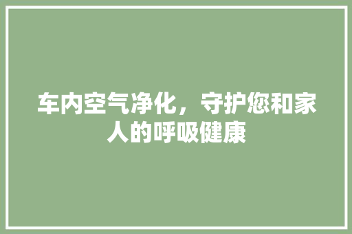 车内空气净化，守护您和家人的呼吸健康 厨房维修