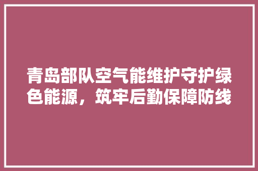 青岛部队空气能维护守护绿色能源，筑牢后勤保障防线