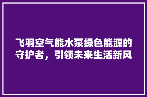 飞羽空气能水泵绿色能源的守护者，引领未来生活新风尚 汽车维修